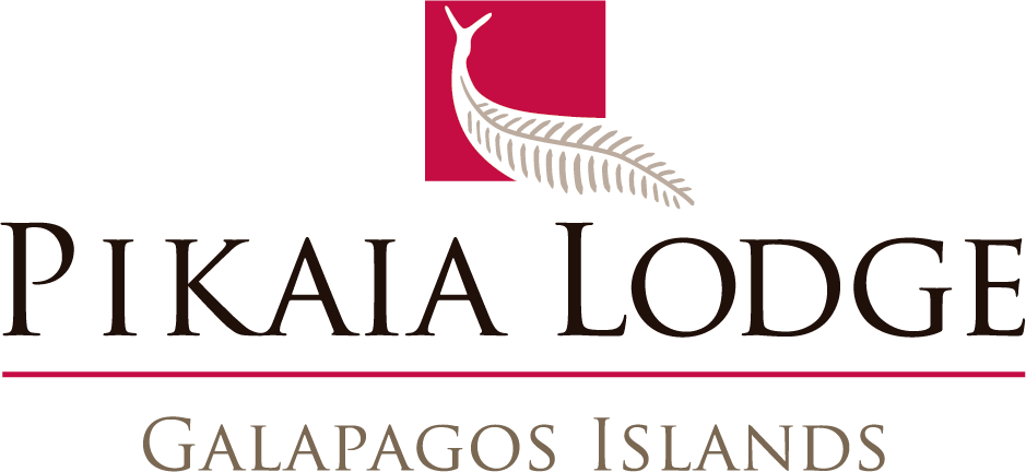 Pikaia Lodge