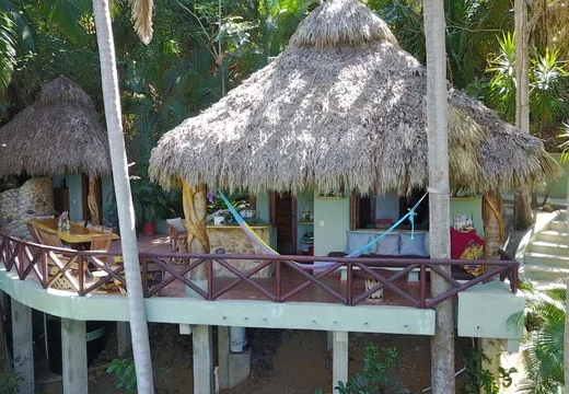 Thatched-roof jungle bungalow on stilts with a wraparound wooden terrace and hammocks, surrounded by palm trees.