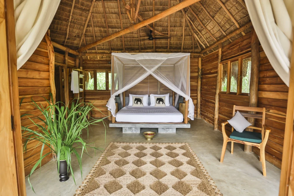 Eco-lodge bungalow with thatched roof, wooden construction, and open-air veranda featuring two wooden chairs with green cushions, a small table, and flowing cream curtains framing glass doors leading to an interior bedroom with canopy bed. Gal Oya Lodge