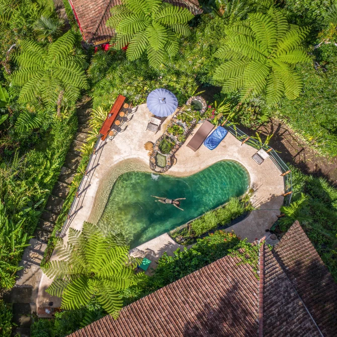 Aerial view of a natural spring-fed pool surrounded by lush ferns and tropical forest at Sarinbuana Eco Lodge with a guest swimming