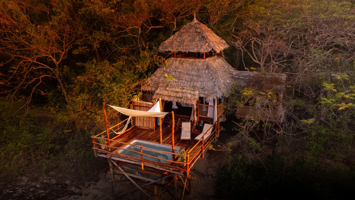 Aerial drone view of Saba tree house with thatched roof and wooden deck surrounded by forest at dusk at Chole Mjin