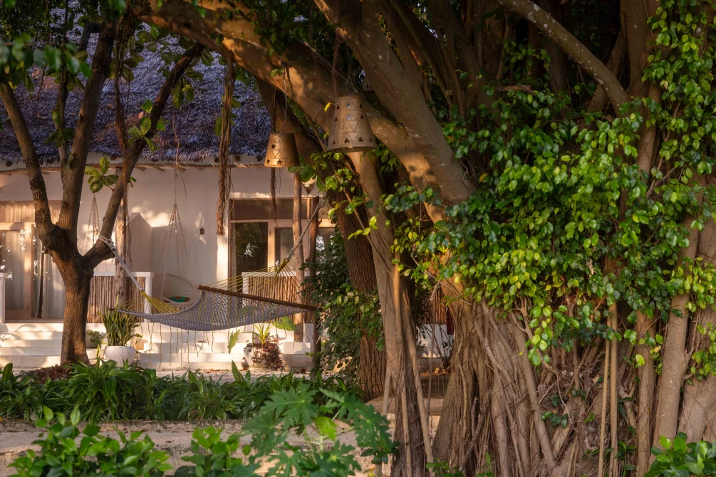 A beachfront bungalow courtyard with a hammock strung between trees, ivy-covered walls, hanging lanterns, and lush tropical vegetation at dusk.