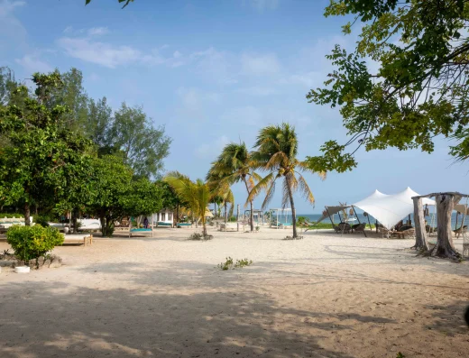 A pristine Zanzibar beach with white sand, palm trees, wooden beach loungers, canvas shade structures, and turquoise ocean under clear sky.