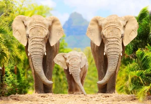 Two adult elephants and a baby elephant walk toward the camera along a sandy path framed by lush green palms and a distant mountain.