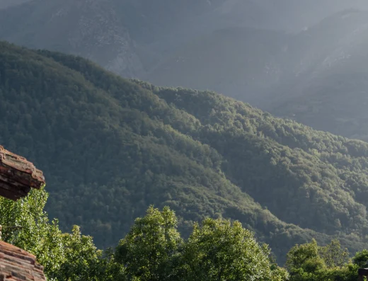 A reflecting pool overlooking misty Asturian mountains, forested valleys, and green peaks in the distance at Solo Palacio.