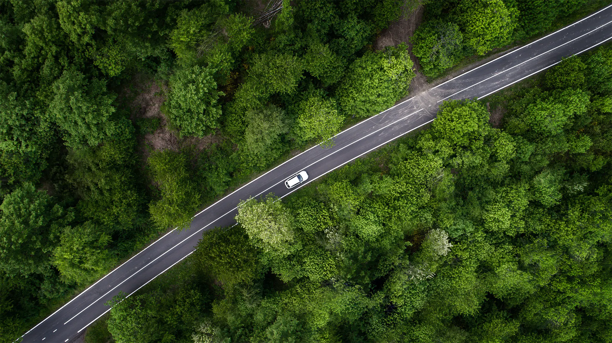 Aerial view of a car driving through a lush green forest — carbon offset travel