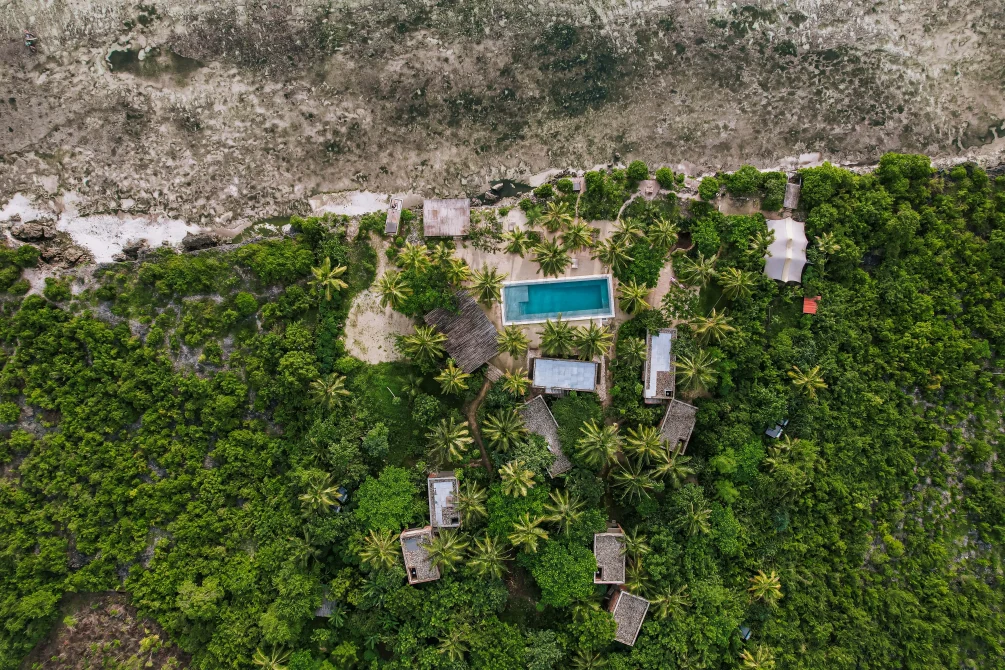 Aerial view of Kizikula resort surrounded by lush palm trees, with a rectangular pool and eco-style villas near Zanzibar’s rocky shoreline.
