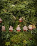 Dominican Tree House Village_aerial houses view