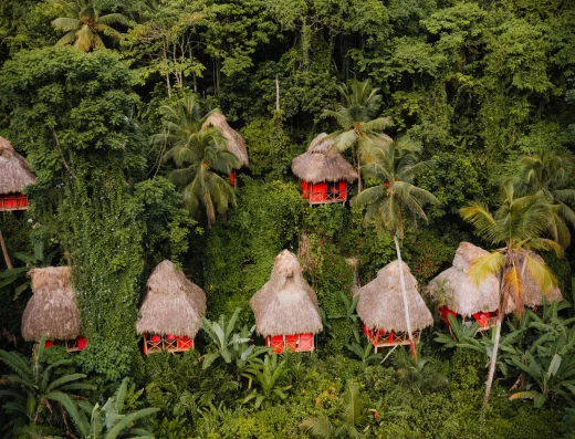 Dominican Tree House Village