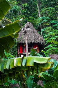 Dominican Tree House Village Article_ a Tree House exterior