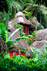 Dominican Tree House Village Article_ a Tree Houses exterior