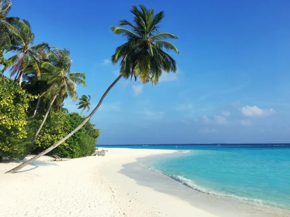 Stunning view in Maldives, white sand on the beach and palms