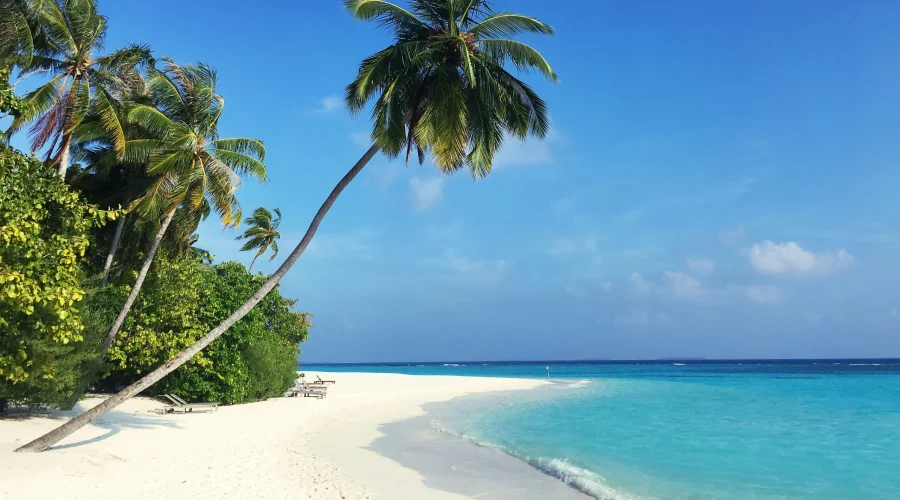 Climate Change Is Transforming the Destinations We Love