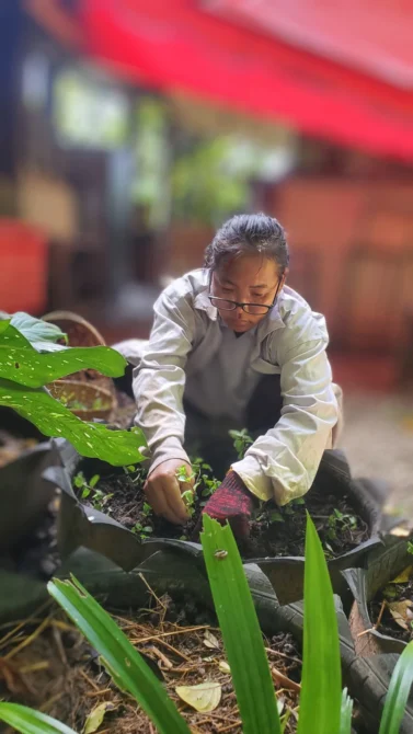 Eco-Logic Thailand Farm Garden Pee Tum