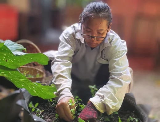 Eco-Logic Thailand Farm Garden Pee Tum
