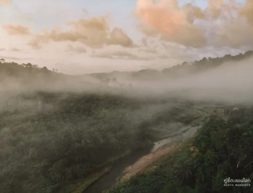 Eco-Logic Thailand