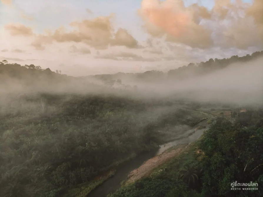 Eco-Logic Thailand Paksong riverview drone view