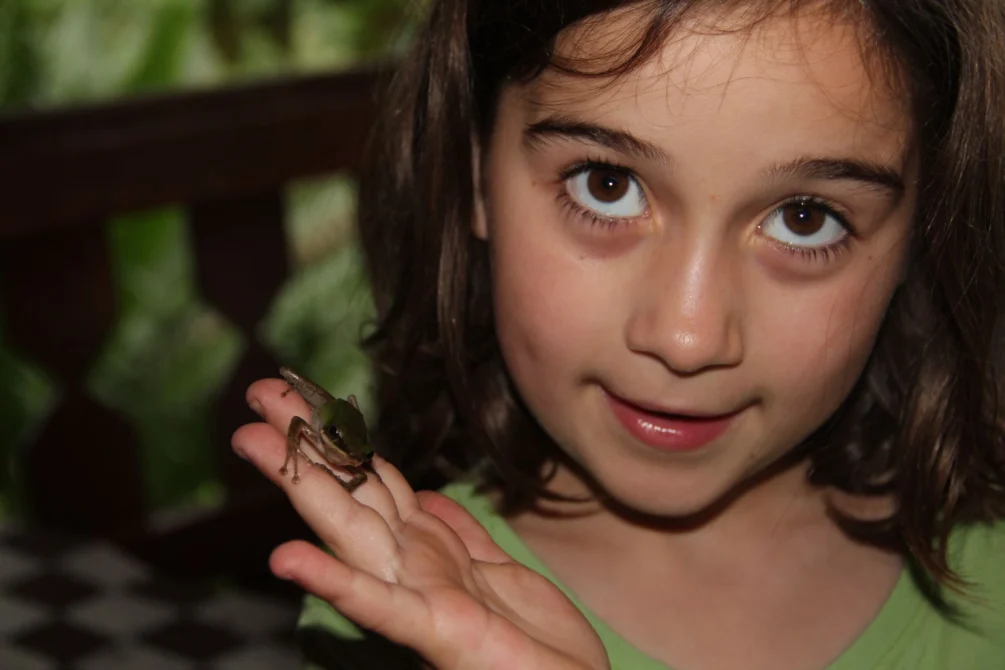 Eco-Lodge Thailand ecologic kids animal